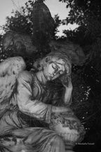 Stone That Weeps