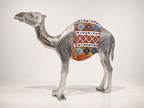 Mirrored Camel