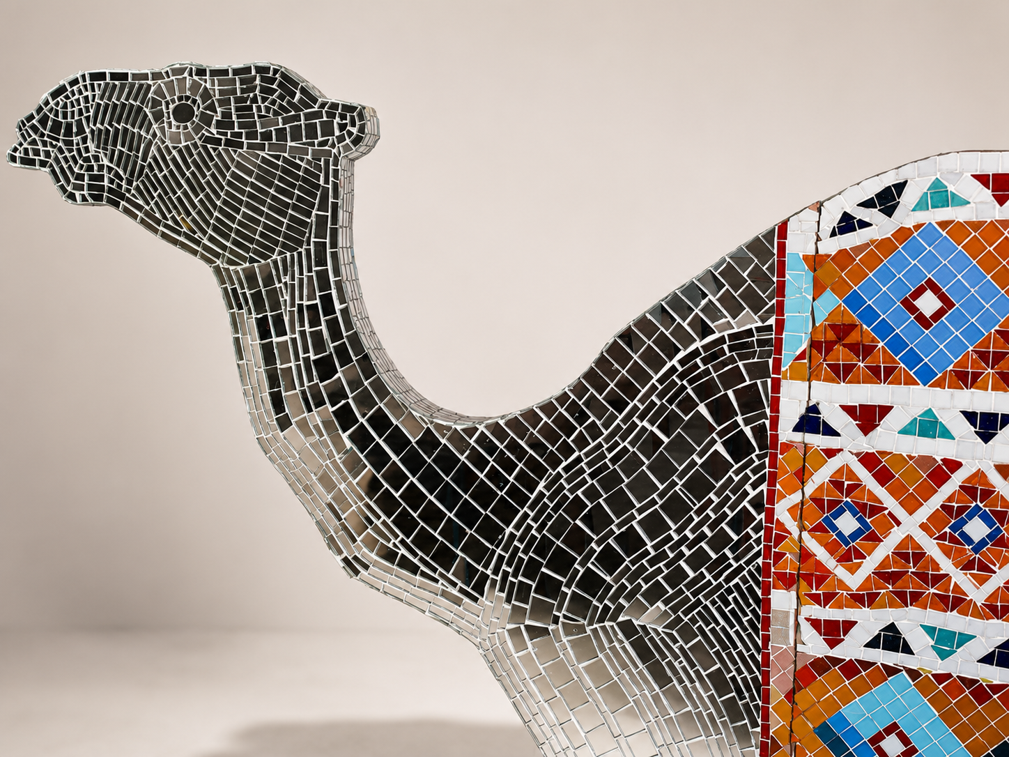 Mirrored Camel