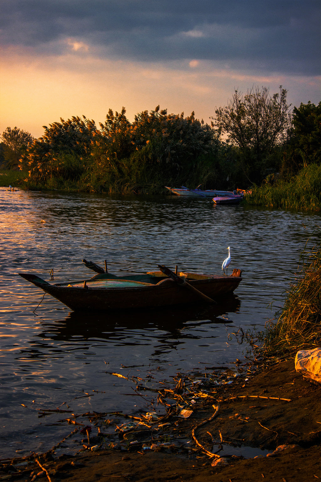By the Nile