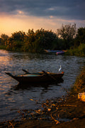 By the Nile