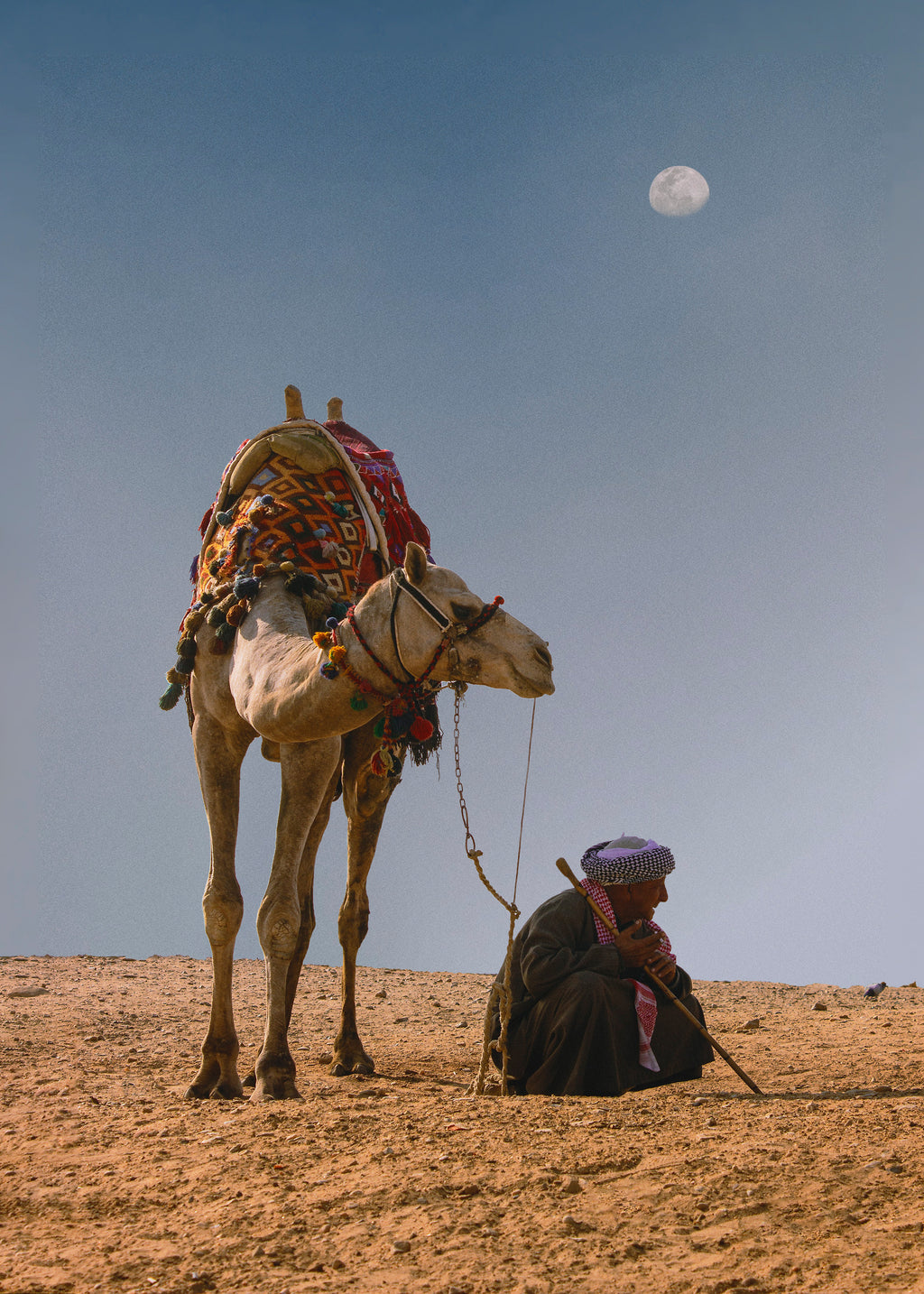 Camel