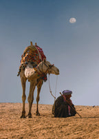 Camel