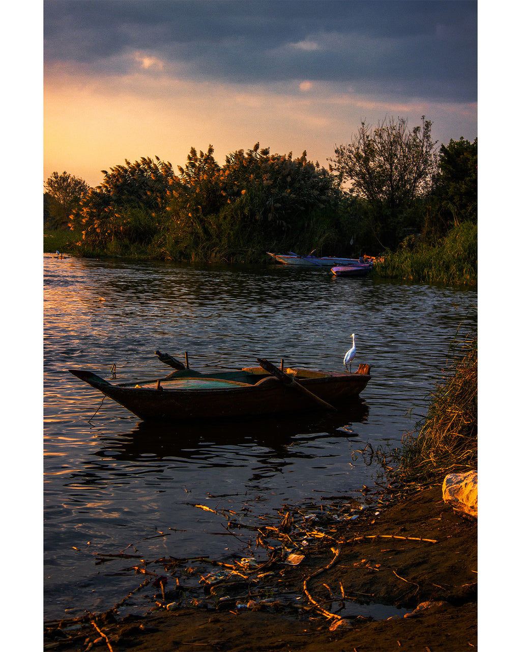 By the Nile