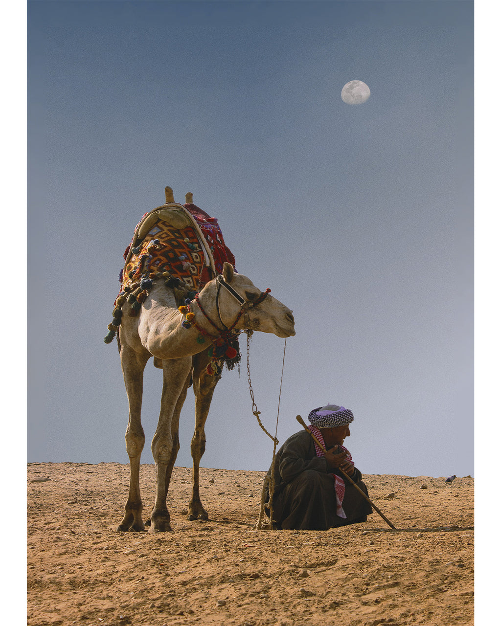 Camel