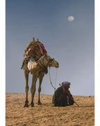 Camel