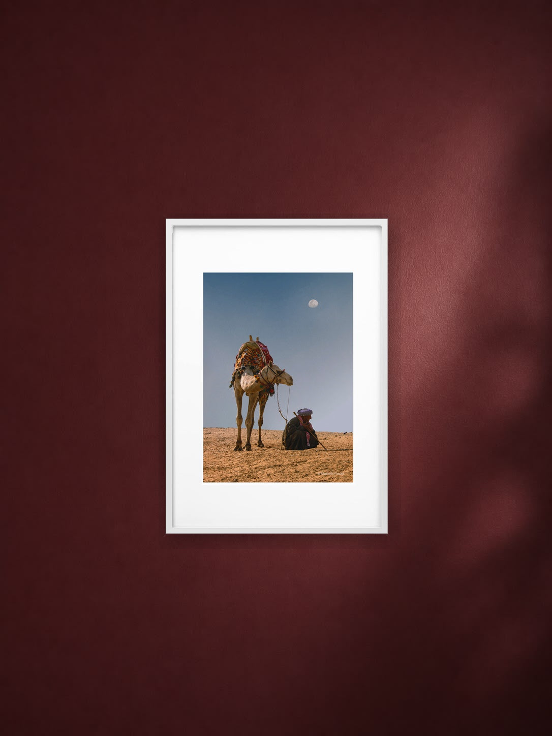 Companions of the Sand