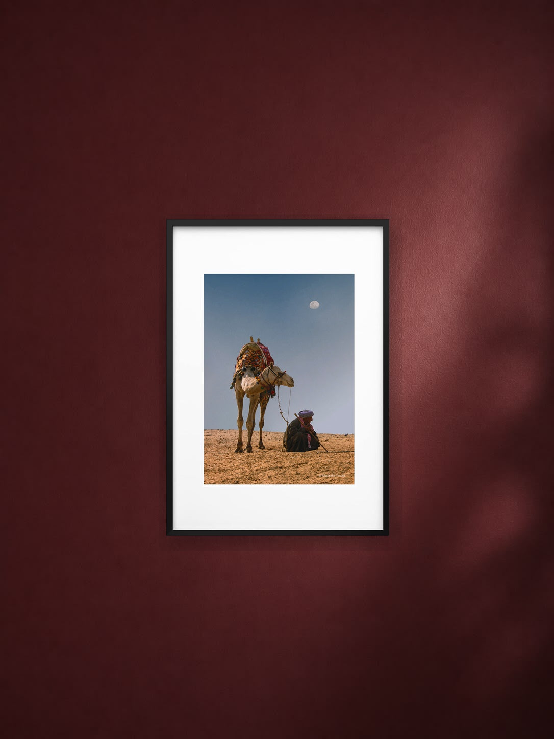 Companions of the Sand